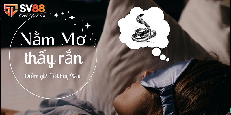 Mơ Thấy Rắn - Giải Mã Ý Nghĩa Và Gợi Ý Số Đẹp Cùng Sv88