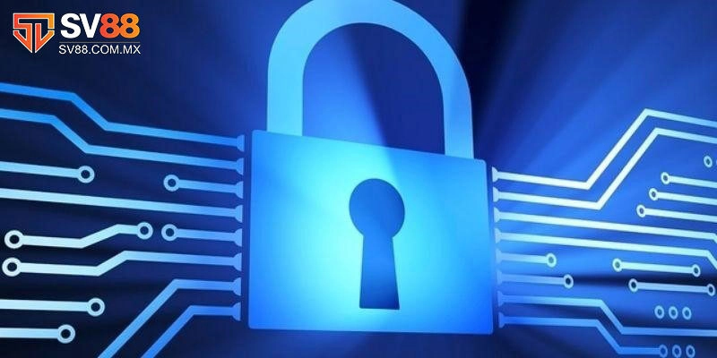 Điểm qua nghĩa vụ của thành viên đối với chính sách bảo mật