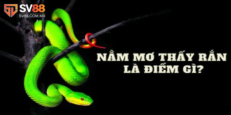 Luận giải ý nghĩa chiêm bao mơ thấy rắn chuẩn xác