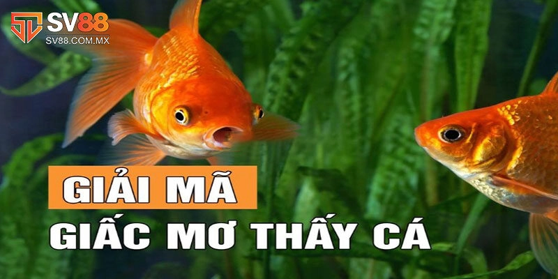 Ý nghĩa của mơ thấy cá là điềm báo gì?